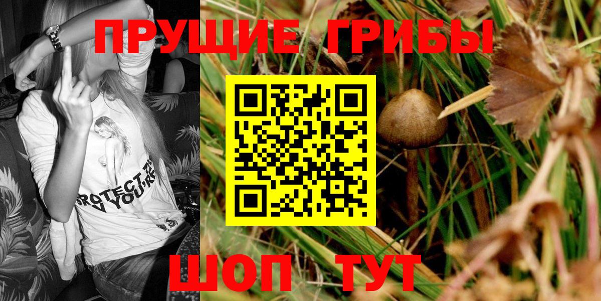 Псилоцибиновые грибы мицелий Алексин