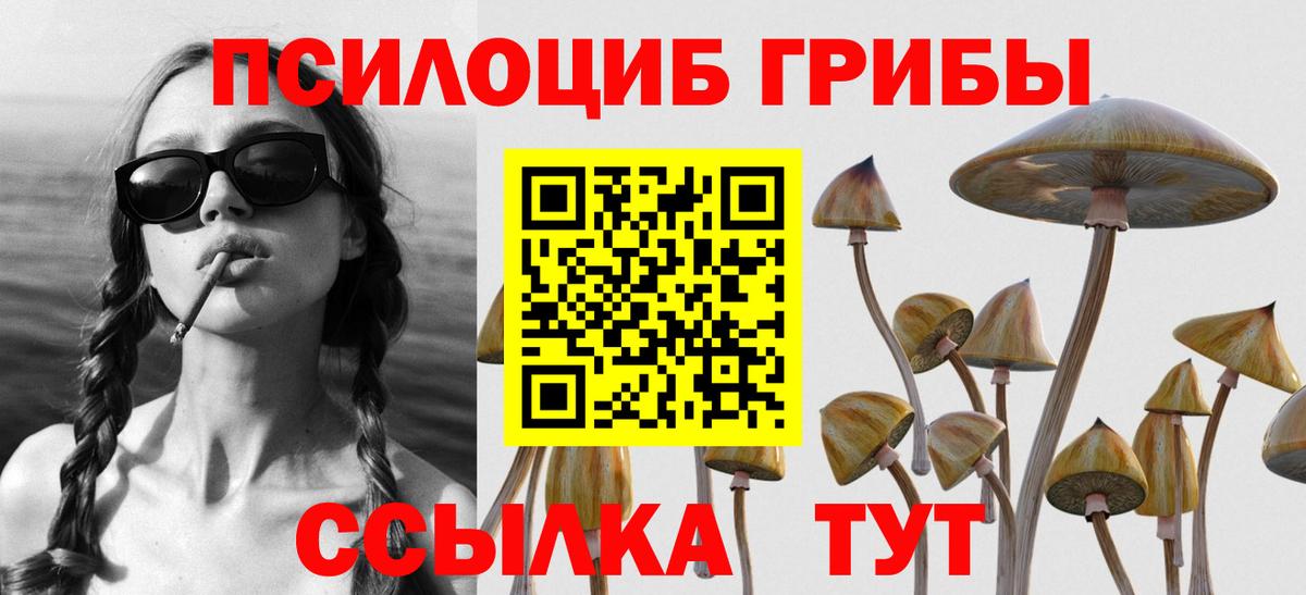 Псилоцибиновые грибы MAGIC MUSHROOMS  Вход с VPN  Алексин 